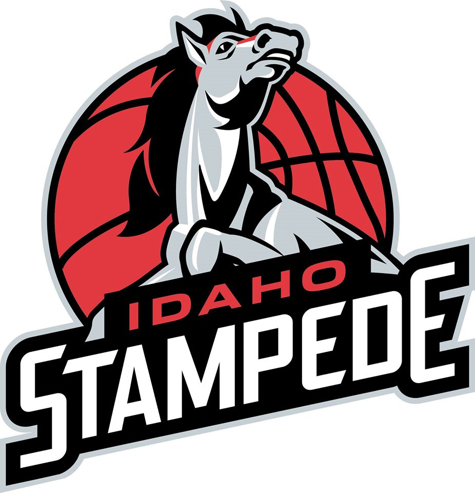 Idaho Stampede 2015-Pres Primary Logo iron on transfers for clothing